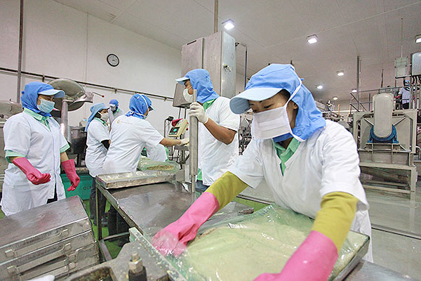 surimi machine image